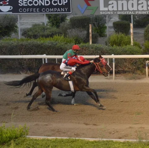 ΙΠΠΟΔΡΟΜΟΣ ΚΥΠΡΟΣ / IPPODROMOS KYPROS SANTA ANNITA ΣΑΝΤΑ ΑΝΝΙΤΑ - 25/07/2025