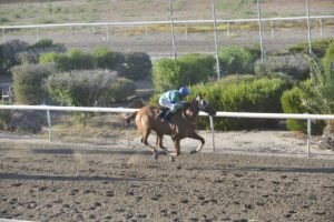 ΙΠΠΟΔΡΟΜΟΣ ΚΥΠΡΟΣ / IPPODROMOS KYPROS SANTA CLARA ΣΑΝΤΑ ΚΛΑΡΑ - 04/07/2025