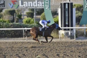 ΙΠΠΟΔΡΟΜΟΣ ΚΥΠΡΟΣ / IPPODROMOS KYPROS MIMNERMOS ΜΙΜΝΕΡΜΟΣ - 02/07/2025