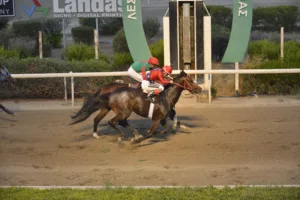 ΙΠΠΟΔΡΟΜΟΣ ΚΥΠΡΟΣ / IPPODROMOS KYPROS SANTA ANNITA ΣΑΝΤΑ ΑΝΝΙΤΑ - 25/07/2025