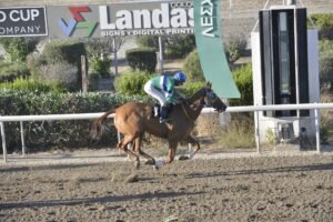 ΙΠΠΟΔΡΟΜΟΣ ΚΥΠΡΟΣ / IPPODROMOS KYPROS SANTA CLARA ΣΑΝΤΑ ΚΛΑΡΑ - 04/07/2025