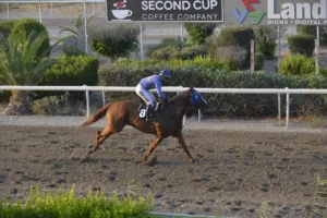 ΙΠΠΟΔΡΟΜΟΣ ΚΥΠΡΟΣ / IPPODROMOS KYPROS ANDROMACHI ΑΝΔΡΟΜΑΧΗ - ΕΠΙΧΟΡΗΓΗΜΕΝΗ Χαράλαμπου Σεραφείδη - 18/07/2025