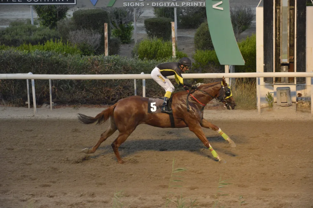 ΙΠΠΟΔΡΟΜΟΣ ΚΥΠΡΟΣ / IPPODROMOS KYPROS DOBERMAN ΝΤΟΜΠΕΡΜΑΝ - 18/07/2025