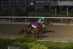 ΙΠΠΟΔΡΟΜΟΣ ΚΥΠΡΟΣ / IPPODROMOS KYPROS LOVING KATERINA ΛΑΒΙΝΓΚ ΚΑΤΕΡΙΝΑ - 02/07/2025