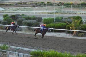 ΙΠΠΟΔΡΟΜΟΣ ΚΥΠΡΟΣ / IPPODROMOS KYPROS IKOGIOS ΝΙΚΟΓΙΟΣ - 04/07/2025