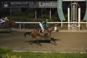 ΙΠΠΟΔΡΟΜΟΣ ΚΥΠΡΟΣ / IPPODROMOS KYPROS KONSTANTINARA ΚΩΝΣΤΑΝΤΙΝΑΡΑ - 02/07/2025