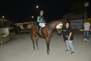 ΙΠΠΟΔΡΟΜΟΣ ΚΥΠΡΟΣ / IPPODROMOS KYPROS KONSTANTINARA ΚΩΝΣΤΑΝΤΙΝΑΡΑ - 02/07/2025