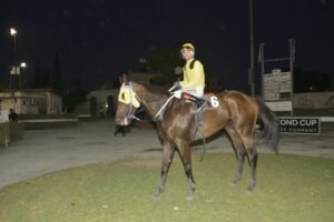 ΙΠΠΟΔΡΟΜΟΣ ΚΥΠΡΟΣ / IPPODROMOS KYPROS NAVA ΝΑΒΑ - 04/07/2025