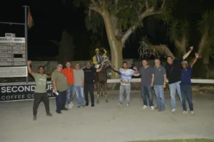 ΙΠΠΟΔΡΟΜΟΣ ΚΥΠΡΟΣ / IPPODROMOS KYPROS BANDIT ΜΠΑΝΤΙΤ - 16/07/2025