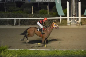 ΙΠΠΟΔΡΟΜΟΣ ΚΥΠΡΟΣ / IPPODROMOS KYPROS ALEX ΑΛΕΞ - 11/07/2025