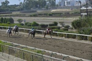 ΑΡΤΣΙΗ - 09/07/2025 ARCHIE ΙΠΠΟΔΡΟΜΟΣ ΚΥΠΡΟΣ / IPPODROMOS KYPROS