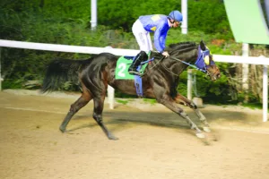 ΙΠΠΟΔΡΟΜΟΣ ΚΥΠΡΟΣ / IPPODROMOS KYPROS