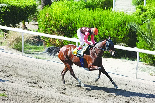 ΙΠΠΟΔΡΟΜΟΣ ΚΥΠΡΟΣ / IPPODROMOS KYPROS