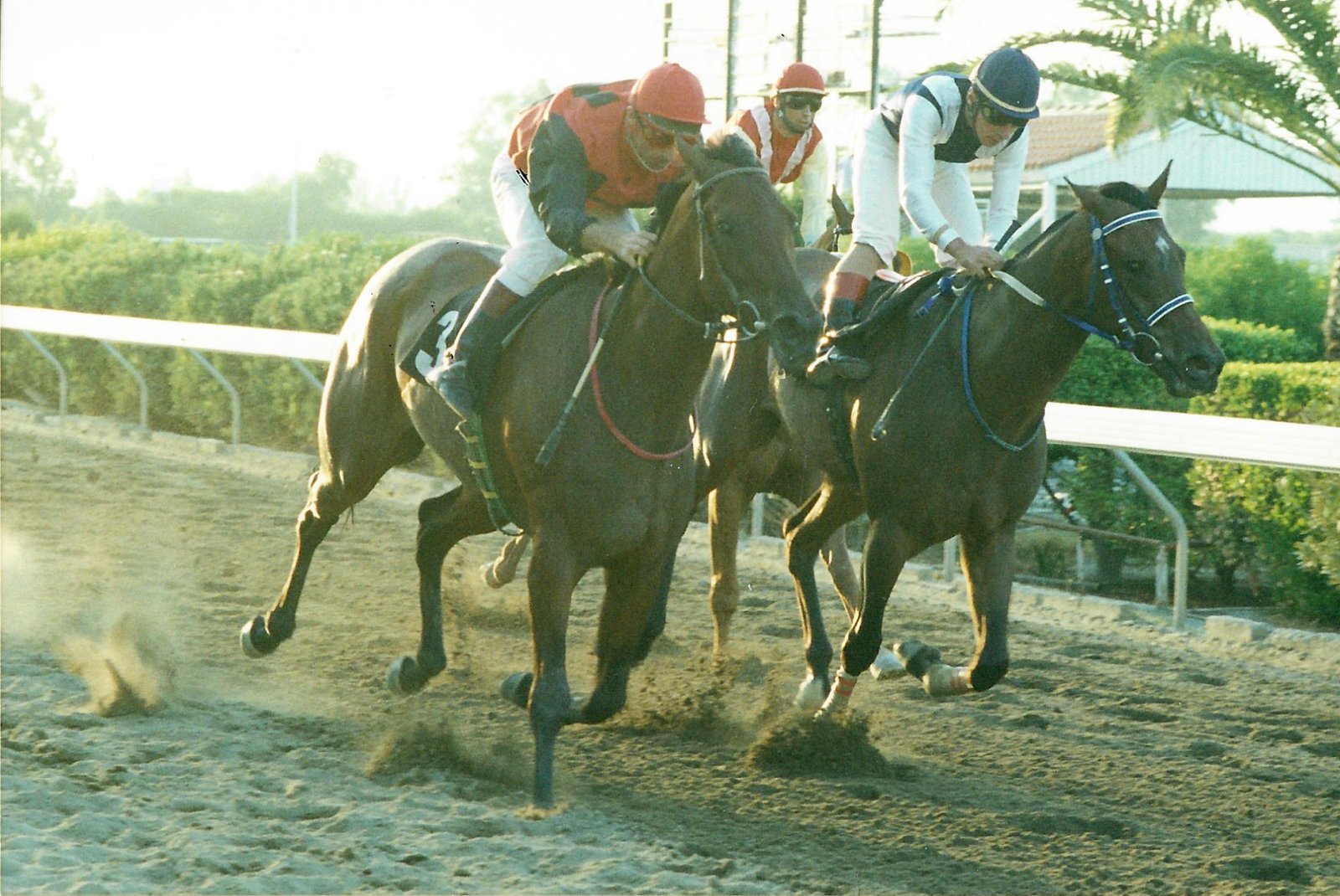 Χωρίς ούτε ένα μαστίγωμα κέρδισε με μισό μήκος! 1 ΙΠΠΟΔΡΟΜΟΣ ΚΥΠΡΟΣ / IPPODROMOS KYPROS