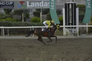 ΙΠΠΟΔΡΟΜΟΣ ΚΥΠΡΟΣ / IPPODROMOS KYPROS LADY VASO ΛΕΙΤΥ ΒΑΣΩ - 11/07/2025