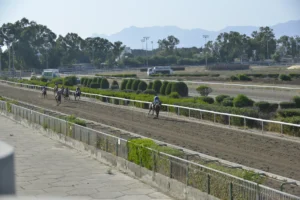 ΙΠΠΟΔΡΟΜΟΣ ΚΥΠΡΟΣ / IPPODROMOS KYPROS MEDEA ΜΗΔΕΙΑ - 11/07/2025