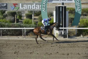 ΙΠΠΟΔΡΟΜΟΣ ΚΥΠΡΟΣ / IPPODROMOS KYPROS MEDEA ΜΗΔΕΙΑ - 11/07/2025