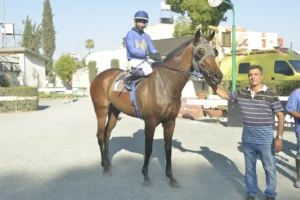 ΙΠΠΟΔΡΟΜΟΣ ΚΥΠΡΟΣ / IPPODROMOS KYPROS MEDEA ΜΗΔΕΙΑ - 11/07/2025