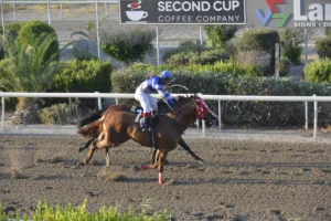 ΙΠΠΟΔΡΟΜΟΣ ΚΥΠΡΟΣ / IPPODROMOS KYPROS PSEFTRA ΨΕΥΤΡΑ - 11/07/2025