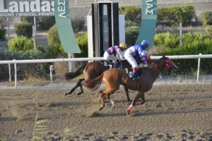 ΙΠΠΟΔΡΟΜΟΣ ΚΥΠΡΟΣ / IPPODROMOS KYPROS PSEFTRA ΨΕΥΤΡΑ - 11/07/2025