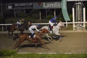 ΡΟΜΠΙΝ ΣΤΟΟΥΝ - 09/07/2025 ROBIN STONE ΙΠΠΟΔΡΟΜΟΣ ΚΥΠΡΟΣ / IPPODROMOS KYPROS