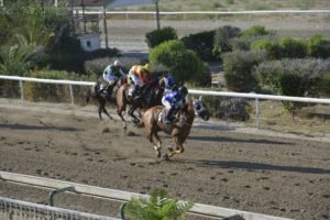 ΡΩΜΑΝΟΣ - 09/07/2025  ΙΠΠΟΔΡΟΜΟΣ ΚΥΠΡΟΣ / IPPODROMOS KYPROS