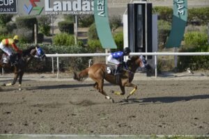 ΡΩΜΑΝΟΣ - 09/07/2025 ROMANOS ΙΠΠΟΔΡΟΜΟΣ ΚΥΠΡΟΣ / IPPODROMOS KYPROS