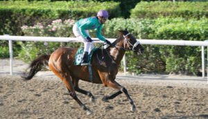 ΙΠΠΟΔΡΟΜΟΣ ΚΥΠΡΟΣ / IPPODROMOS KYPROS