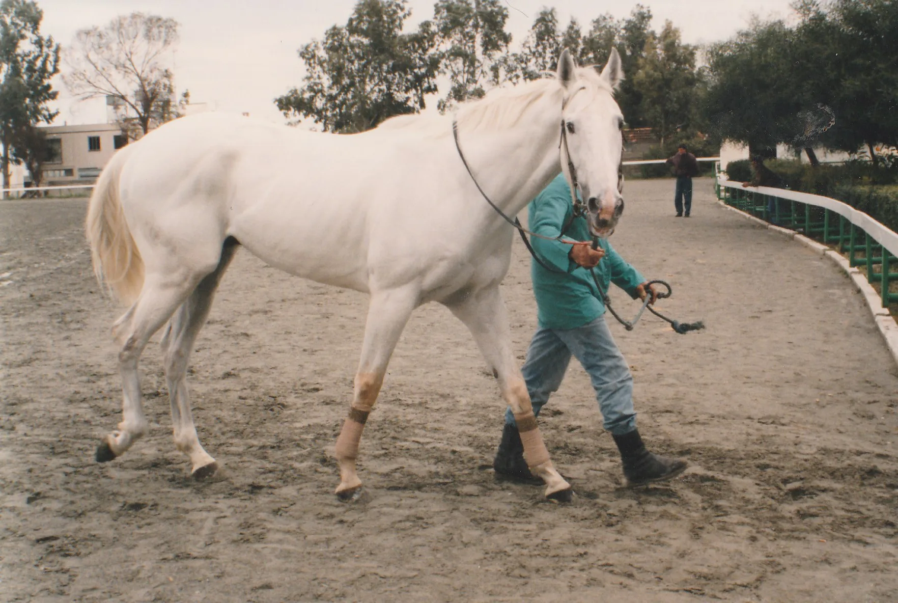 ΑΦΙΕΡΩΜΑ: ΤΟΥΪΣΤ ΕΝΤ ΣΙΑΟΥΤ 1 ΙΠΠΟΔΡΟΜΟΣ ΚΥΠΡΟΣ / IPPODROMOS KYPROS