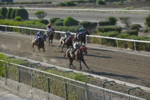 ΙΠΠΟΔΡΟΜΟΣ ΚΥΠΡΟΣ / IPPODROMOS KYPROS VITTIS EKAT ΒΙΤΤΗΣ ΕΚΑΤΗ - 11/07/2025