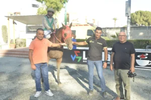 ΙΠΠΟΔΡΟΜΟΣ ΚΥΠΡΟΣ / IPPODROMOS KYPROS VITTIS EKAT ΒΙΤΤΗΣ ΕΚΑΤΗ - 11/07/2025