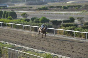 ΙΠΠΟΔΡΟΜΟΣ ΚΥΠΡΟΣ / IPPODROMOS KYPROS