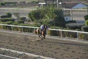 ΙΠΠΟΔΡΟΜΟΣ ΚΥΠΡΟΣ / IPPODROMOS KYPROS ΕCHAPPE_kYP. THEROUS ΕCHAPPE_kYP. THEROUS ΕΣΣΑΠΕ - ΚΥΠΕΛΛΟ ΘΕΡΟΥΣ - 11/07/2025