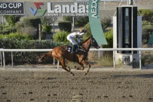 ΙΠΠΟΔΡΟΜΟΣ ΚΥΠΡΟΣ / IPPODROMOS KYPROS ΕCHAPPE_kYP. THEROUS ΕCHAPPE_kYP. THEROUS ΕΣΣΑΠΕ - ΚΥΠΕΛΛΟ ΘΕΡΟΥΣ - 11/07/2025