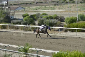 ΙΠΠΟΔΡΟΜΟΣ ΚΥΠΡΟΣ / IPPODROMOS KYPROS ΚΑΜΠΑΚ (COMEBACK) - 06/08/2025