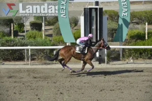 ΙΠΠΟΔΡΟΜΟΣ ΚΥΠΡΟΣ / IPPODROMOS KYPROS ΕΛΛΗΝΟΠΑΙΔΟ (ELLINOPAIDO) - 08/08/2025