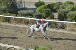 ΙΠΠΟΔΡΟΜΟΣ ΚΥΠΡΟΣ / IPPODROMOS KYPROS ΒΕΝΤΟ ΣΙΑΚΙΡΑ (VENTO SHAKIRA) - 29/08/2025