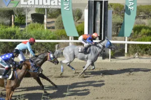 ΙΠΠΟΔΡΟΜΟΣ ΚΥΠΡΟΣ / IPPODROMOS KYPROS ΒΕΝΤΟ ΣΙΑΚΙΡΑ (VENTO SHAKIRA) - 29/08/2025