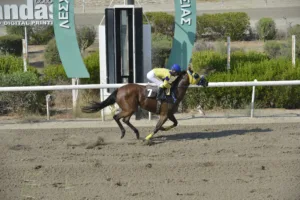 ΙΠΠΟΔΡΟΜΟΣ ΚΥΠΡΟΣ / IPPODROMOS KYPROS ΖΙΓΚΟΥΑΛΑ ΓΚΕΡΛ (ZINGUALA GIRL) - 01/08/2025