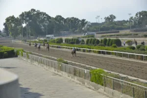 ΙΠΠΟΔΡΟΜΟΣ ΚΥΠΡΟΣ / IPPODROMOS KYPROS ΑΝΤΡΕΛΕΦ ΣΕΗΛ (ANDRELEF SALE) - 01/08/2025