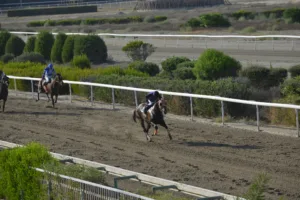 ΙΠΠΟΔΡΟΜΟΣ ΚΥΠΡΟΣ / IPPODROMOS KYPROS ΤΖΟΡΤΖ ΔΕ ΦΑΡΙΕΡ (GEORGE THE FARRIER) - 29/08/2025