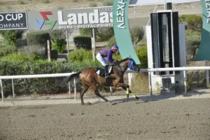 ΙΠΠΟΔΡΟΜΟΣ ΚΥΠΡΟΣ / IPPODROMOS KYPROS ΚΟΥΡΟΥΚΛΑΡΕΝΑ (KOUROUKLARENA) - 08/08/2025