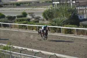 ΙΠΠΟΔΡΟΜΟΣ ΚΥΠΡΟΣ / IPPODROMOS KYPROS ΒΑΜΟΣ ΑΡΙΜΠΑ (VAMOS ARRIBA) - 06/08/2025