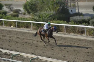 ΙΠΠΟΔΡΟΜΟΣ ΚΥΠΡΟΣ / IPPODROMOS KYPROS ΑΝΤΡΕΛΕΦ ΣΕΗΛ (ANDRELEF SALE) - 01/08/2025