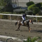 ΙΠΠΟΔΡΟΜΟΣ ΚΥΠΡΟΣ / IPPODROMOS KYPROS ΤΖΟΡΤΖ ΔΕ ΦΑΡΙΕΡ (GEORGE THE FARRIER) - 29/08/2025