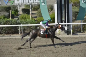 ΙΠΠΟΔΡΟΜΟΣ ΚΥΠΡΟΣ / IPPODROMOS KYPROS ΒΑΜΟΣ ΑΡΙΜΠΑ (VAMOS ARRIBA) - 06/08/2025