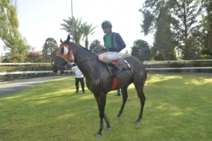 ΙΠΠΟΔΡΟΜΟΣ ΚΥΠΡΟΣ / IPPODROMOS KYPROS ΒΑΜΟΣ ΑΡΙΜΠΑ (VAMOS ARRIBA) - 06/08/2025