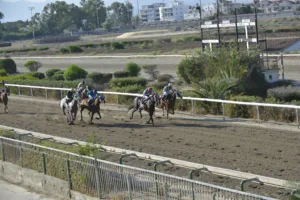 ΙΠΠΟΔΡΟΜΟΣ ΚΥΠΡΟΣ / IPPODROMOS KYPROS ΜΠΕΚΑ ΠΟΗΝΤ (BECCA POINT) - 08/08/2025