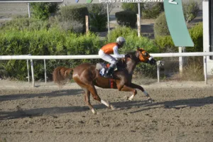 ΙΠΠΟΔΡΟΜΟΣ ΚΥΠΡΟΣ / IPPODROMOS KYPROS ΚΥΡΑ ΡΟΔΙΤΙΣΣΑ (KYRA RODITISSA) - 29/08/2025