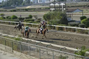 ΙΠΠΟΔΡΟΜΟΣ ΚΥΠΡΟΣ / IPPODROMOS KYPROS ΜΑΛΤΙΜΙΛΙΟΝΕΡ (MULTIMILIONER) - 06/08/2025